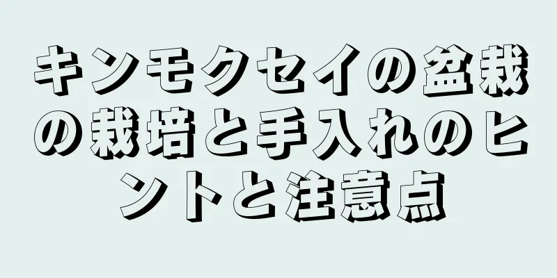 キンモクセイの盆栽の栽培と手入れのヒントと注意点