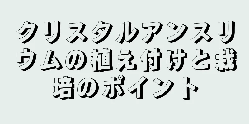 クリスタルアンスリウムの植え付けと栽培のポイント