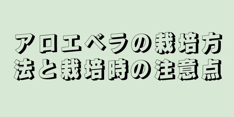 アロエベラの栽培方法と栽培時の注意点
