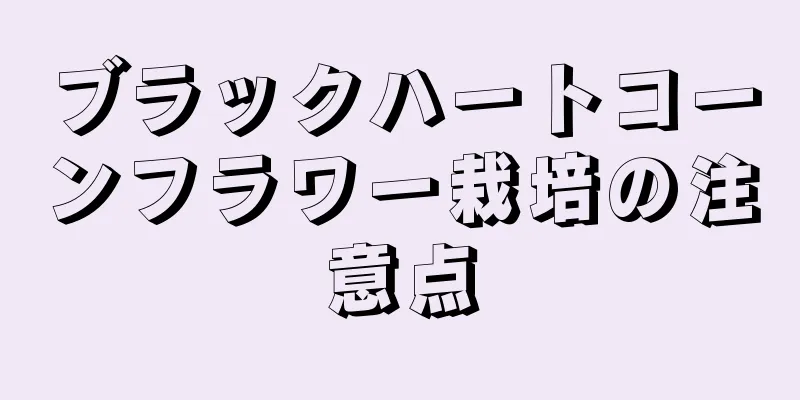 ブラックハートコーンフラワー栽培の注意点