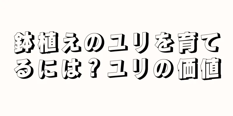 鉢植えのユリを育てるには？ユリの価値