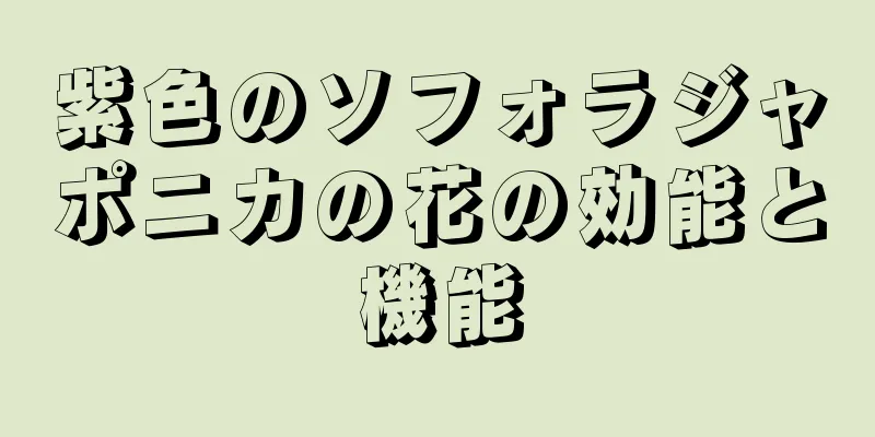 紫色のソフォラジャポニカの花の効能と機能
