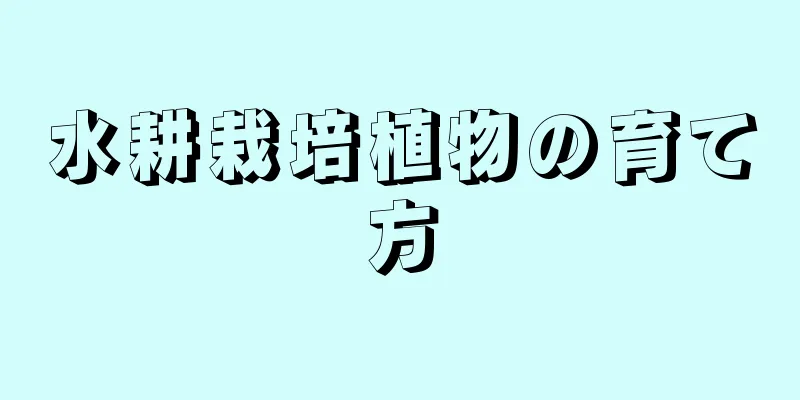 水耕栽培植物の育て方