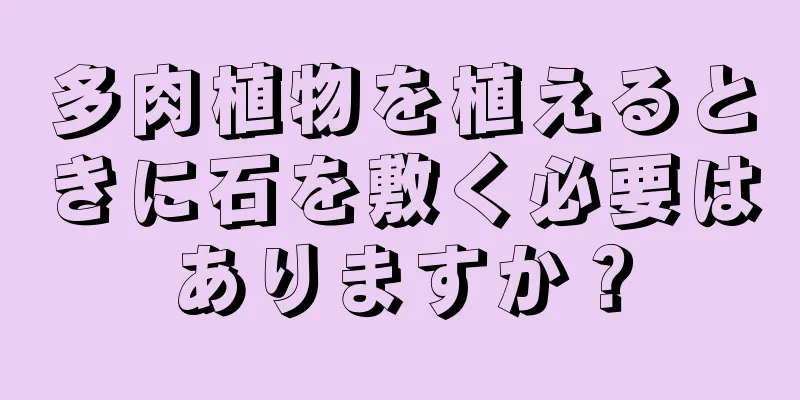 多肉植物を植えるときに石を敷く必要はありますか？