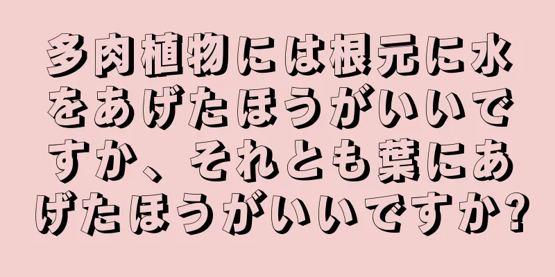 多肉植物には根元に水をあげたほうがいいですか、それとも葉にあげたほうがいいですか?