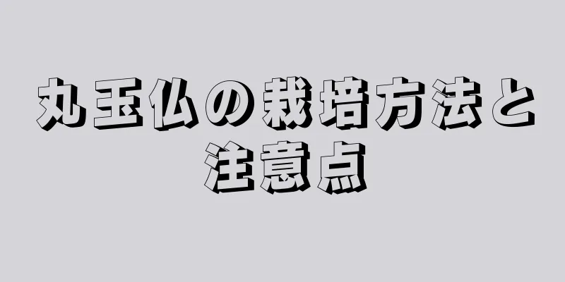 丸玉仏の栽培方法と注意点