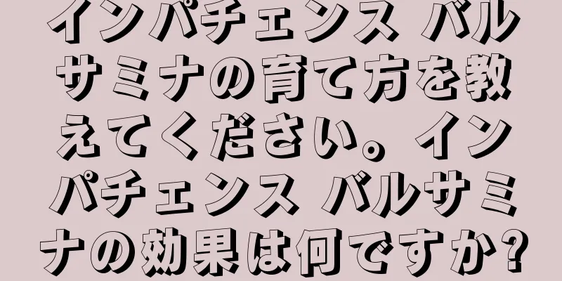 インパチェンス バルサミナの育て方を教えてください。インパチェンス バルサミナの効果は何ですか?
