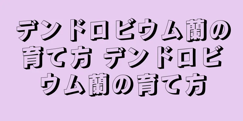 デンドロビウム蘭の育て方 デンドロビウム蘭の育て方