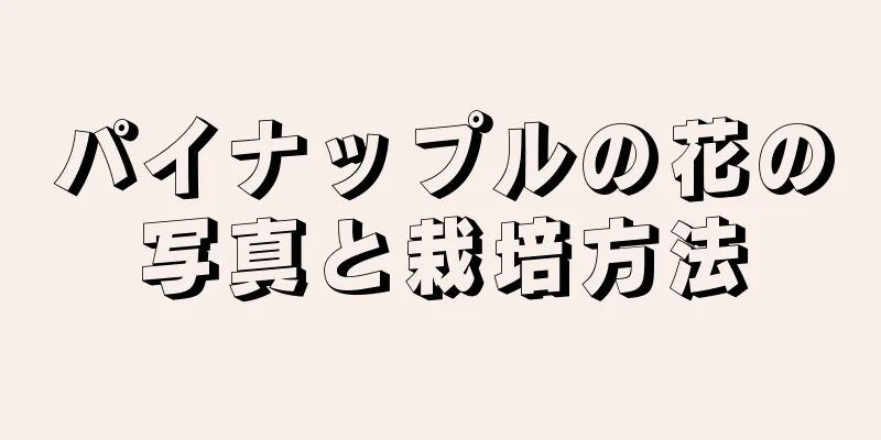 パイナップルの花の写真と栽培方法