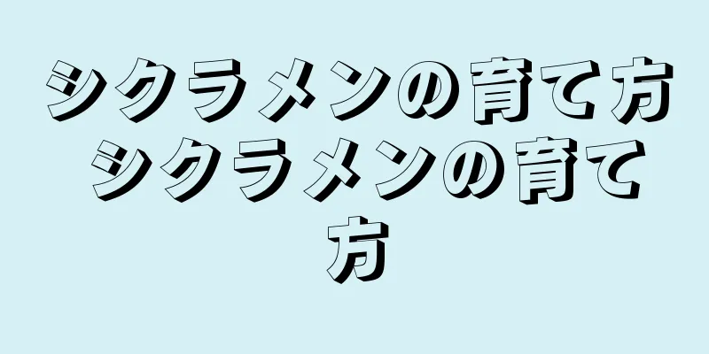 シクラメンの育て方 シクラメンの育て方