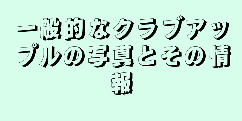 一般的なクラブアップルの写真とその情報