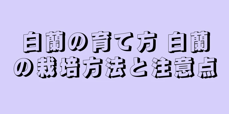 白蘭の育て方 白蘭の栽培方法と注意点