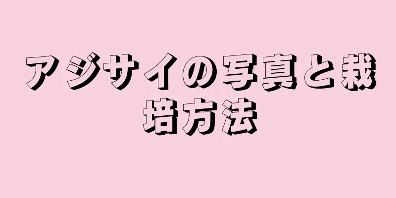 アジサイの写真と栽培方法