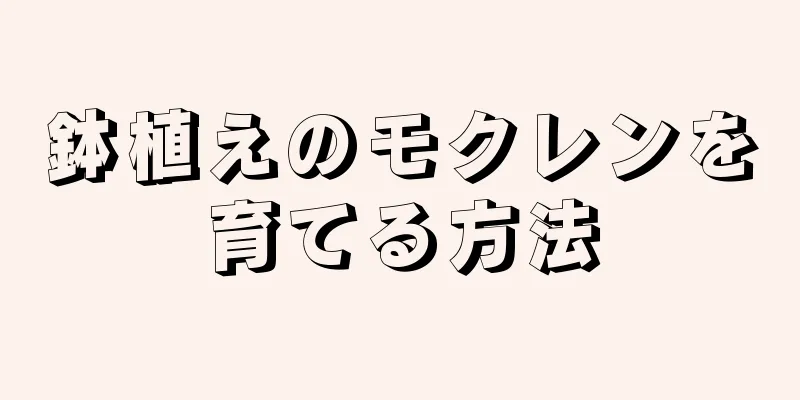 鉢植えのモクレンを育てる方法