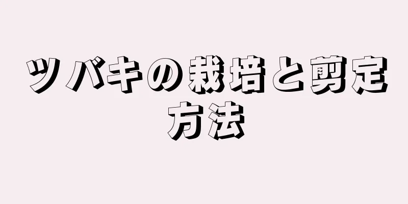 ツバキの栽培と剪定方法