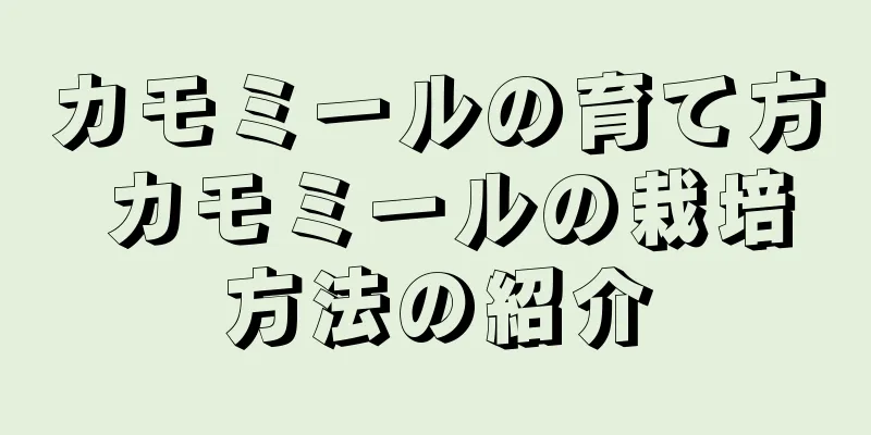 カモミールの育て方 カモミールの栽培方法の紹介