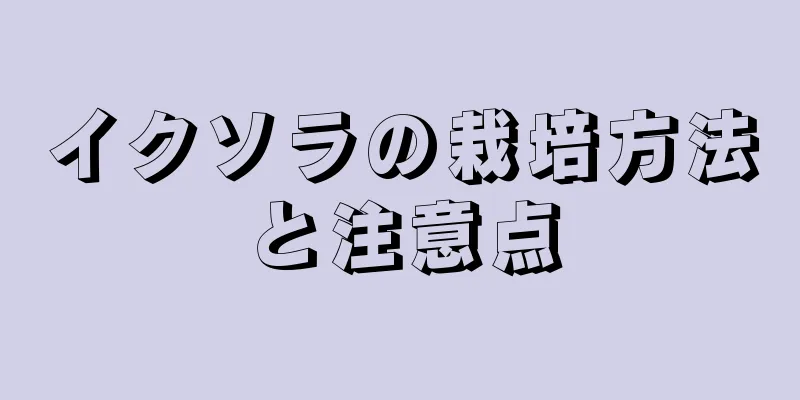 イクソラの栽培方法と注意点