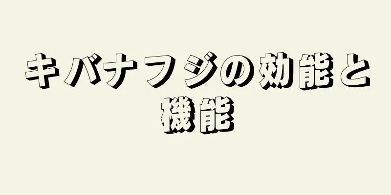 キバナフジの効能と機能