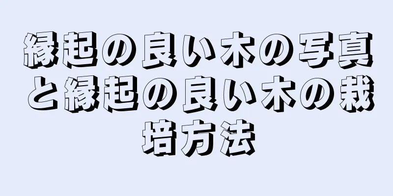 縁起の良い木の写真と縁起の良い木の栽培方法