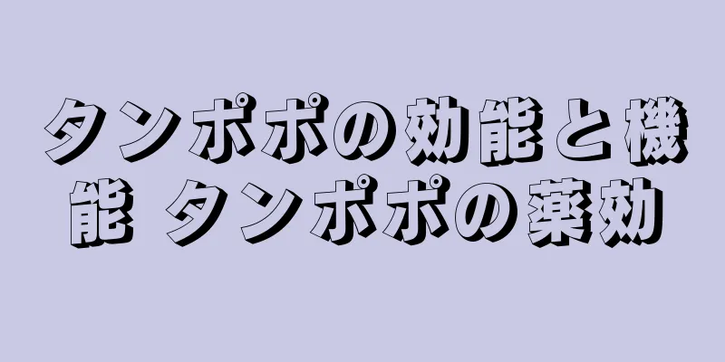タンポポの効能と機能 タンポポの薬効