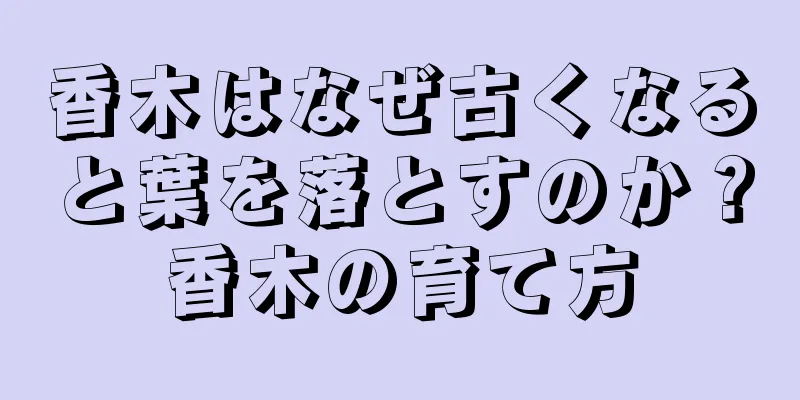 香木はなぜ古くなると葉を落とすのか？香木の育て方