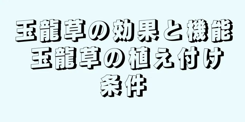 玉龍草の効果と機能 玉龍草の植え付け条件