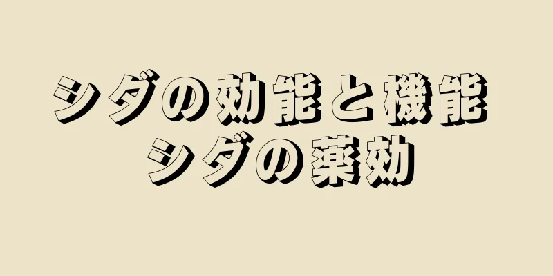 シダの効能と機能 シダの薬効