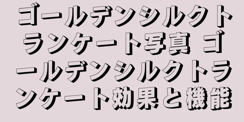ゴールデンシルクトランケート写真 ゴールデンシルクトランケート効果と機能