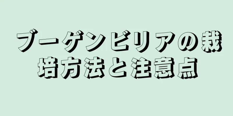 ブーゲンビリアの栽培方法と注意点