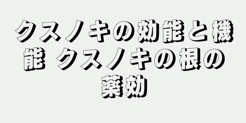 クスノキの効能と機能 クスノキの根の薬効