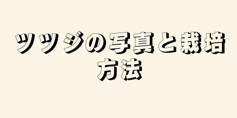 ツツジの写真と栽培方法