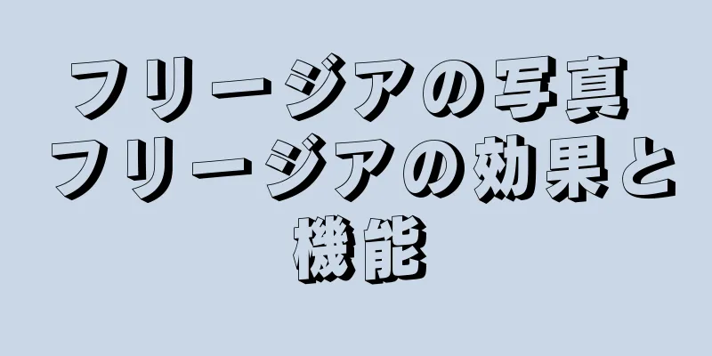 フリージアの写真 フリージアの効果と機能