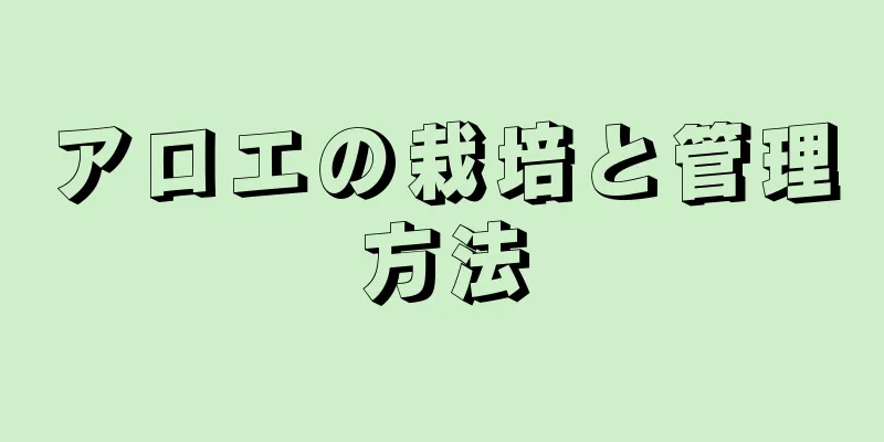 アロエの栽培と管理方法