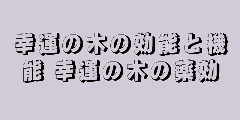 幸運の木の効能と機能 幸運の木の薬効