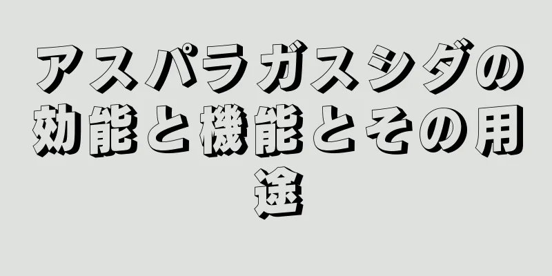 アスパラガスシダの効能と機能とその用途
