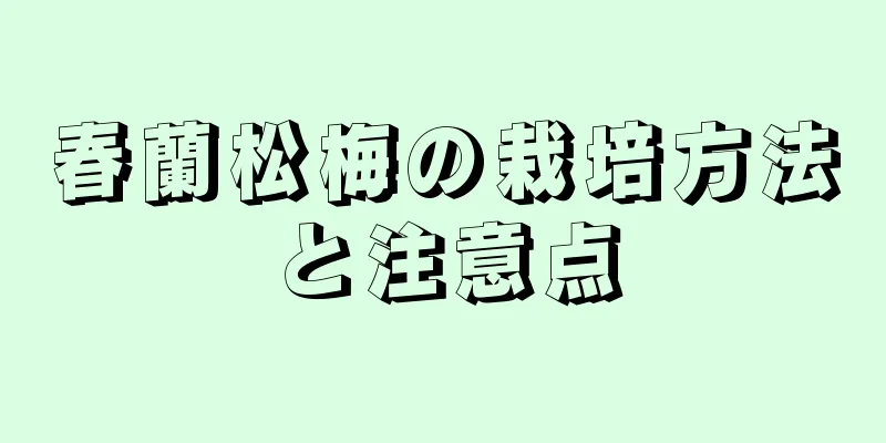 春蘭松梅の栽培方法と注意点