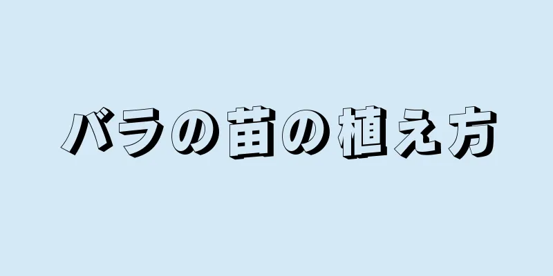 バラの苗の植え方