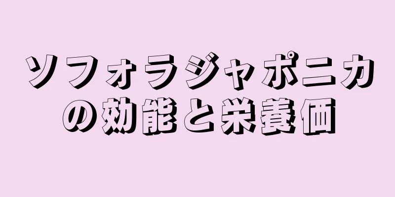 ソフォラジャポニカの効能と栄養価