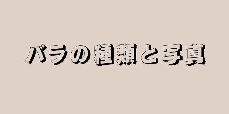 バラの種類と写真