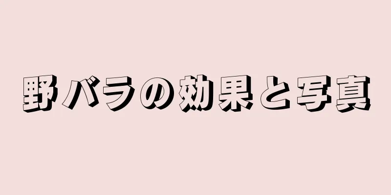 野バラの効果と写真