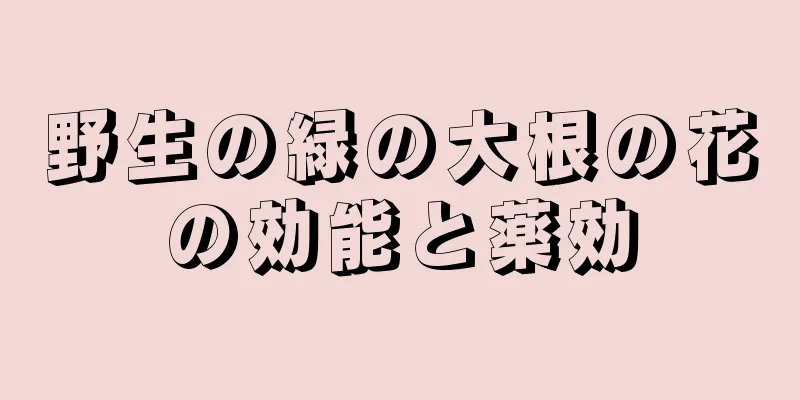 野生の緑の大根の花の効能と薬効