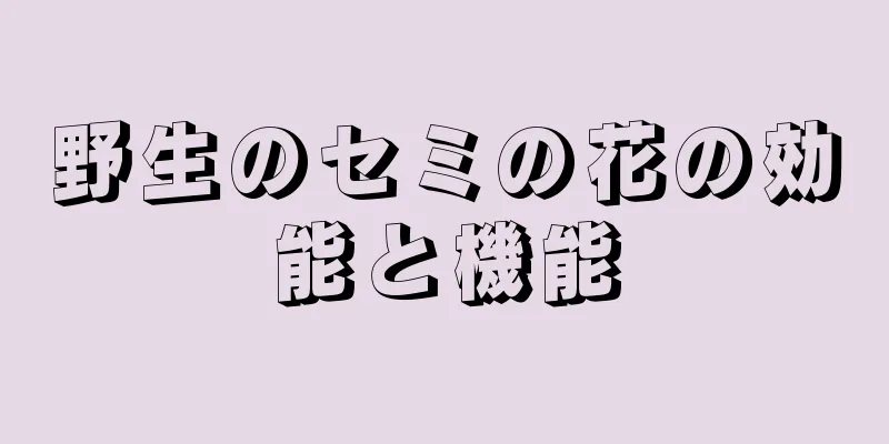 野生のセミの花の効能と機能