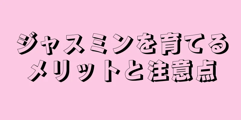 ジャスミンを育てるメリットと注意点