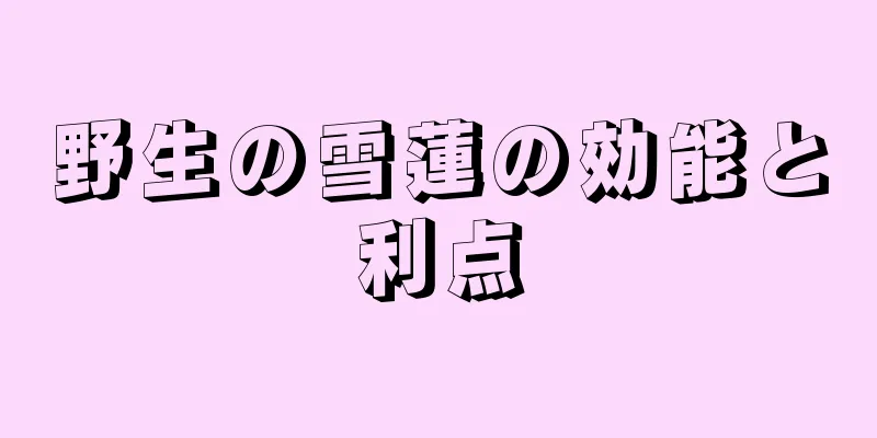 野生の雪蓮の効能と利点