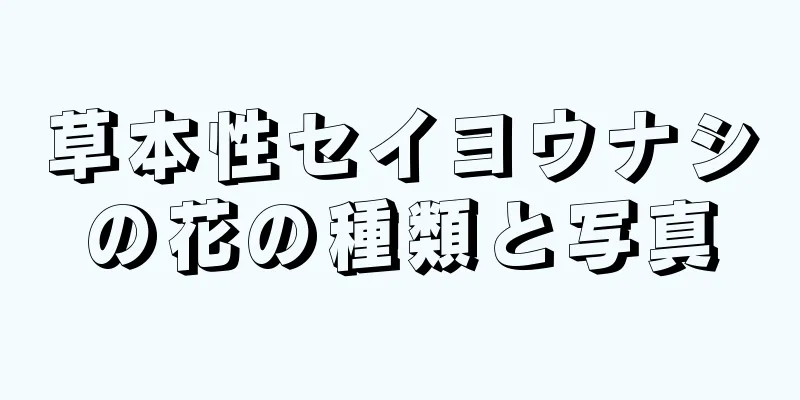 草本性セイヨウナシの花の種類と写真