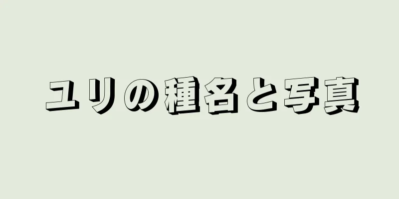 ユリの種名と写真