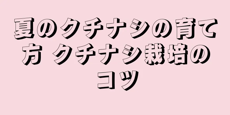 夏のクチナシの育て方 クチナシ栽培のコツ