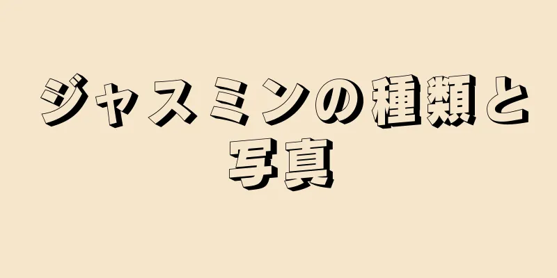 ジャスミンの種類と写真