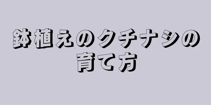 鉢植えのクチナシの育て方