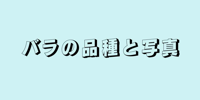 バラの品種と写真